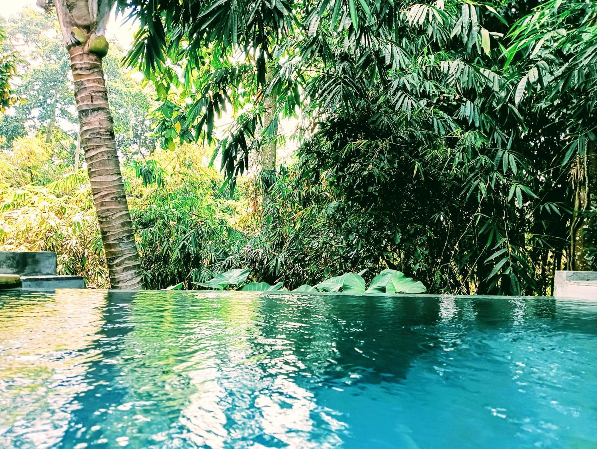 Отель Ngesil Private Joglo & Pool Убуд Экстерьер фото